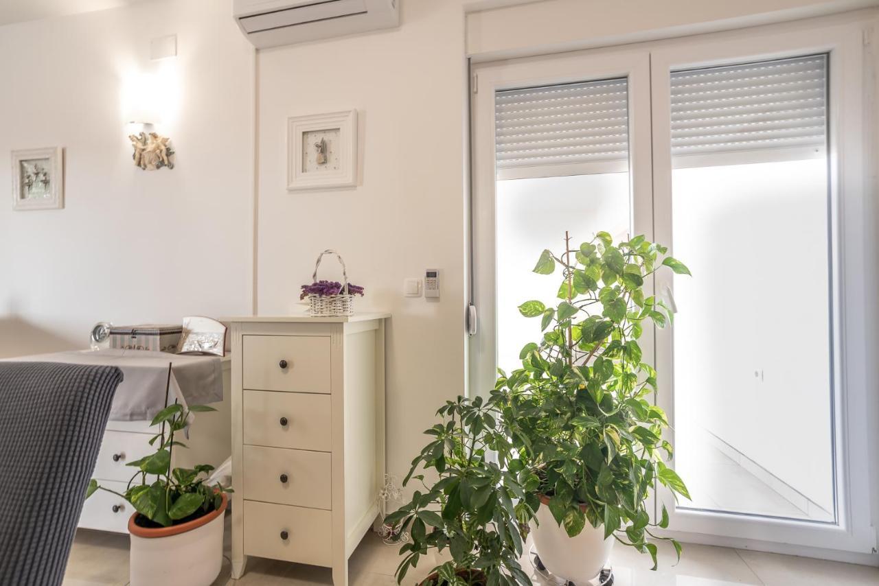 Apartments Sandrina ヴーシ エクステリア 写真